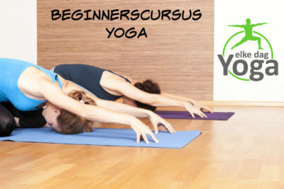 Beginnerscursus yoga, leer de basis in zes lessen